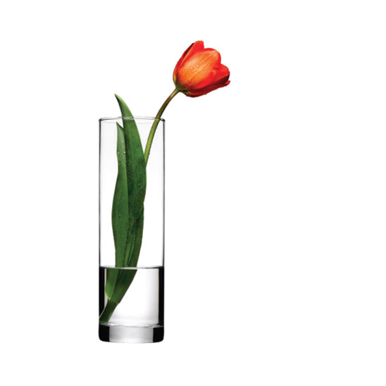 VASE HAUTEUR 26CM FORME DROITE EN VERRE TRANSPAR – Décoration – HygiRéa