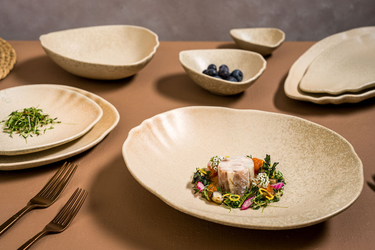 ASSIETTE CREUSE SAHARA TONE 27CM EN GRES VITRIFIE – Assiette – HygiRéa