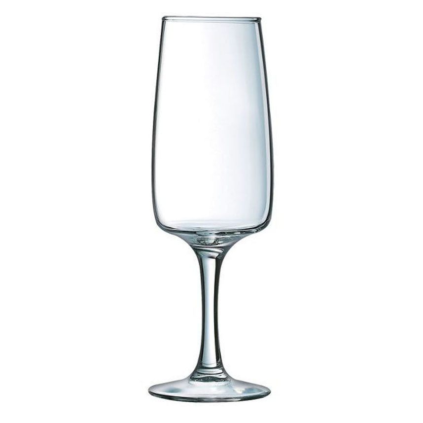 FLUTE À CHAMPAGNE EQUIP HOME 17CL EN VERRE TRANSPARENT – Verre à pied – HygiRéa