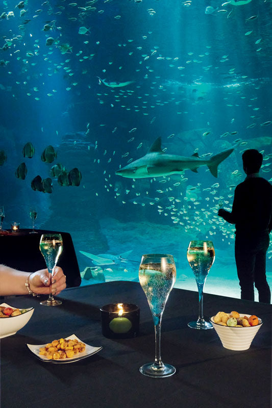 FLUTE BRIO 9,5CL ARCOROC – Verre à pied – HygiRéa