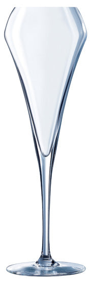 FLUTE 20CL EFFERVESCENT OPEN UP ARC – Verre à pied – HygiRéa