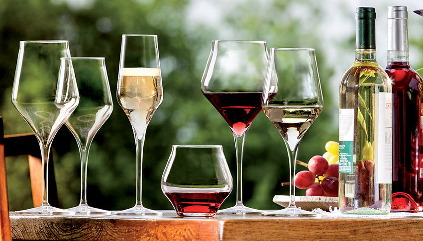 FLUTE CHAMPAGNE SUPREMO 24CL – Verre à pied – HygiRéa