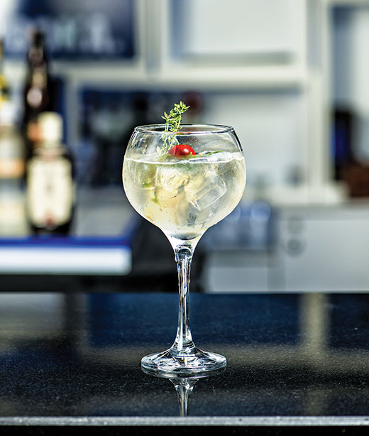 VERRRE A PIED AMBASSADOR BOURGEOIS 78CL – Verre à pied – HygiRéa