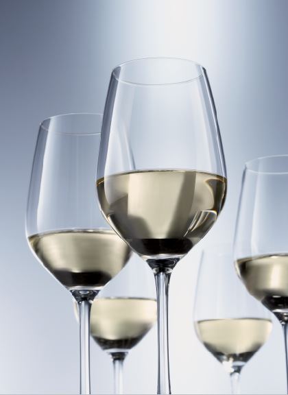 FLUTE CHAMPAGNE NUMERO 77 VINA 26,3CL – Verre à pied – HygiRéa