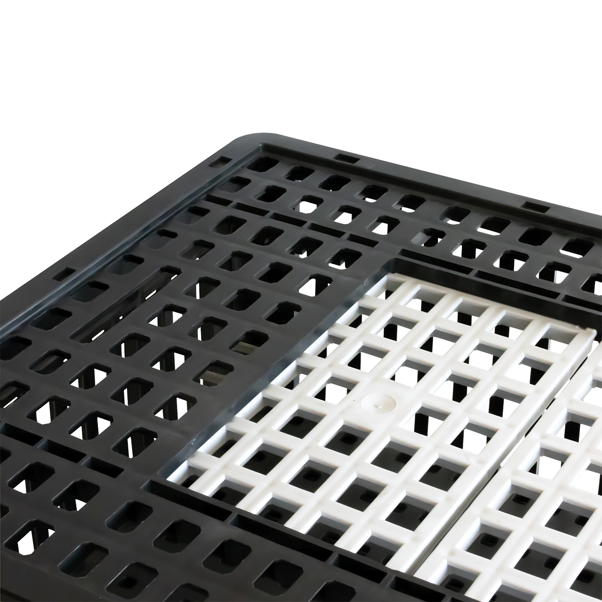 CAGE A POULE 2P 800x600x280 – Cages à poules – HygiRéa