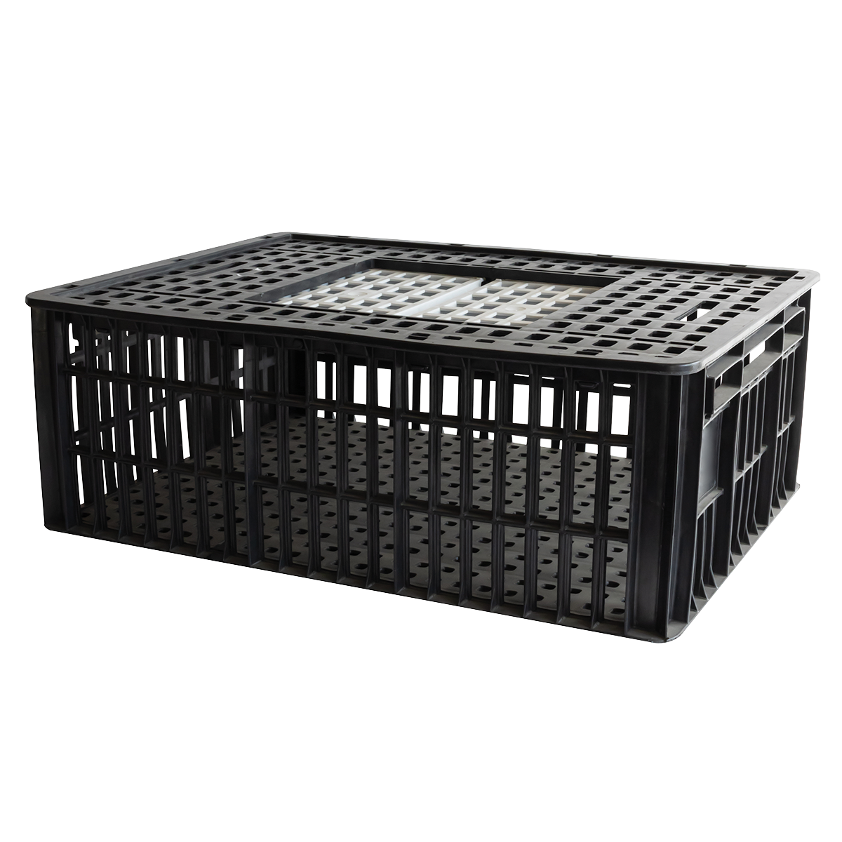 CAGE A POULE 2P 800x600x280 – Cages à poules – HygiRéa