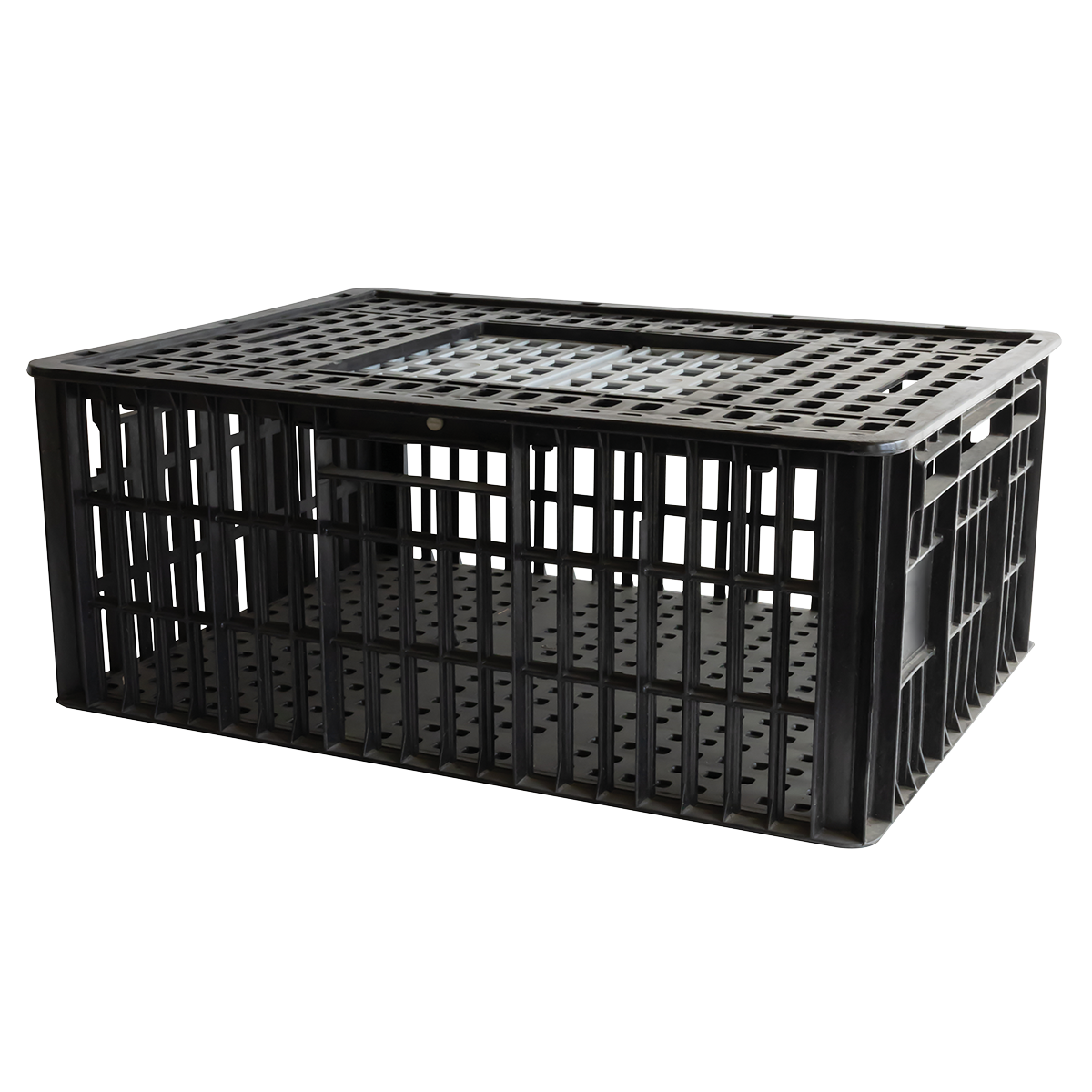 CAGE A POULE 2P 800x600x320 – Cages à poules – HygiRéa