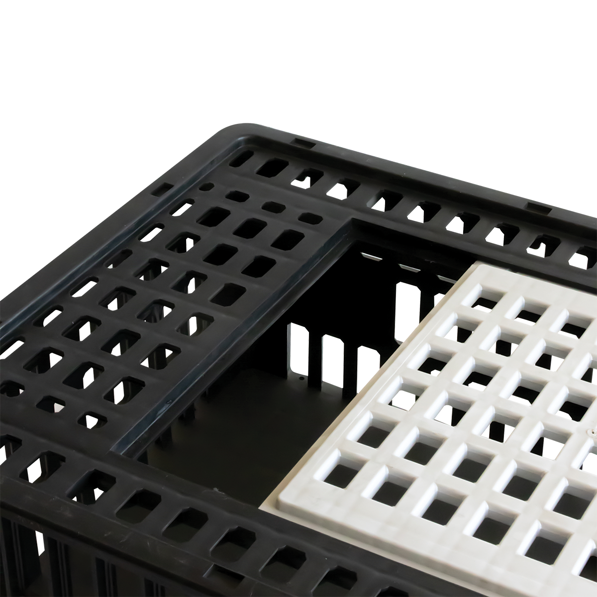 CAGE A POULE 1P 800X500x260 – Cages à poules – HygiRéa