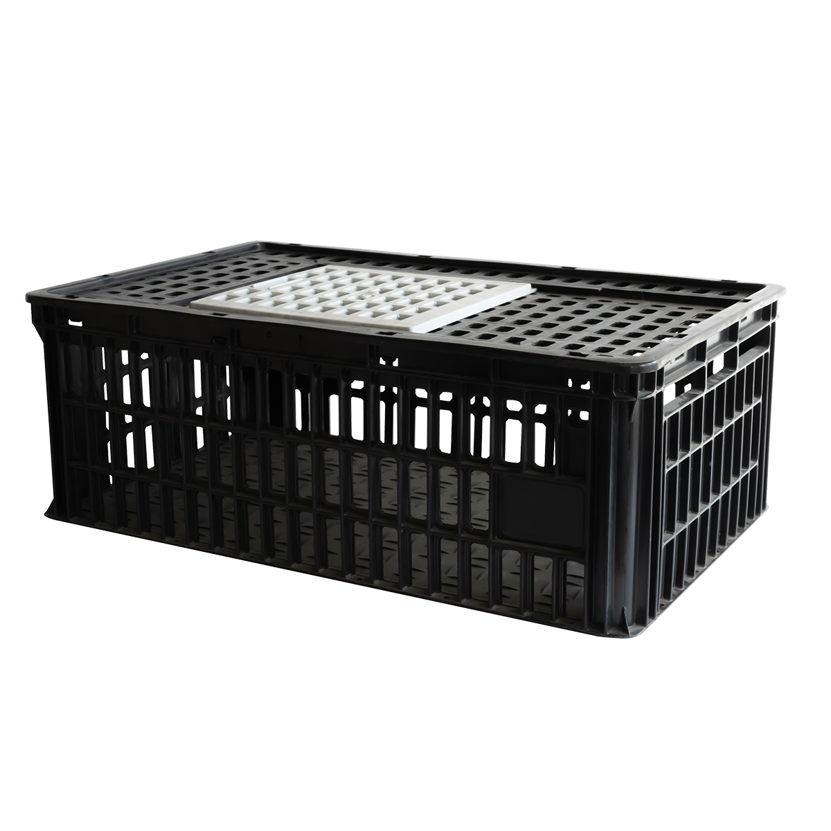 CAGE A POULE 1P 800X500x260 – Cages à poules – HygiRéa