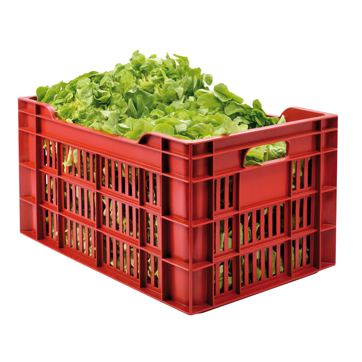 CAISSE AJOUREE 550X360 45 L – Caisse ajourée – HygiRéa