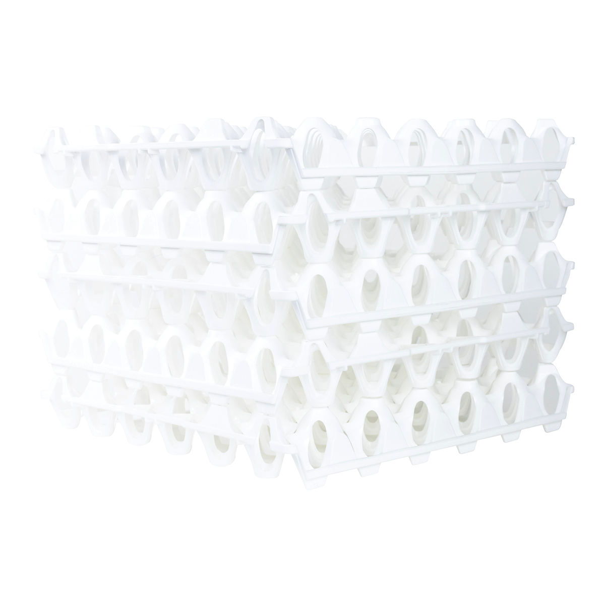 LOT DE 6 ALVEOLES OEUF BLC – Alvéoles à oeufs – HygiRéa