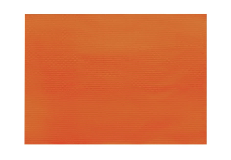 Set de table – Set de Table Réutilisable – HygiRéa