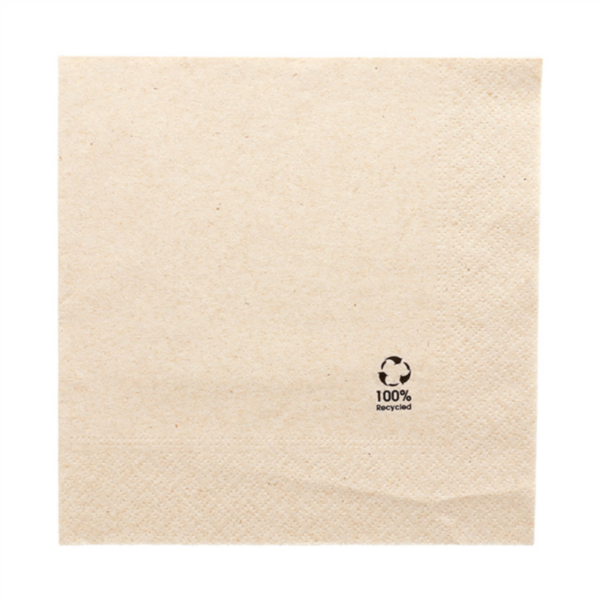 SERVIETTES 30 x 30 - 2 PLIS - 18G/M2 - ECOLABEL - 2400 UNITÉS