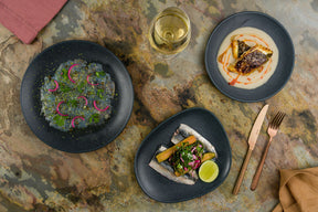 ASSIETTE PLATE VAGO GRAPHITE 24CM – Assiette – HygiRéa