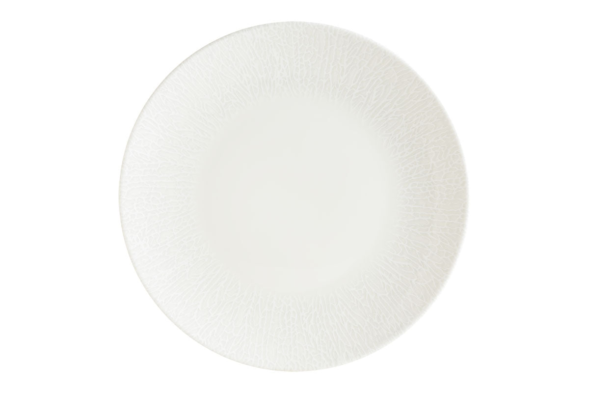 ASSIETTE PLATE GOURMET RADIX 25CM POCELAINE – Assiette – HygiRéa