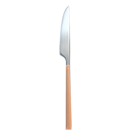 COUTEAU DE TABLE COLORAMA 22 CM EN ACIER INOXYDABLE NOISETTE – Couvert – HygiRéa