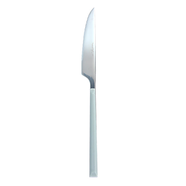 COUTEAU DE TABLE COLORAMA 22 CM EN ACIER INOXYDABLE GRIS – Couvert – HygiRéa