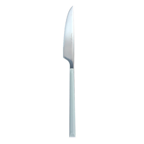 COUTEAU DE TABLE COLORAMA 22 CM EN ACIER INOXYDABLE GRIS – Couvert – HygiRéa