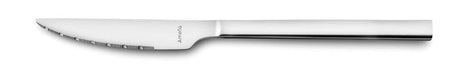 COUTEAU STEAK CARACTERE 23CM EN INOX – Couvert – HygiRéa