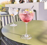 VERRE A PIED SYMETRIE 58CL CHEF ET SOMMELIER – Verre à pied – HygiRéa