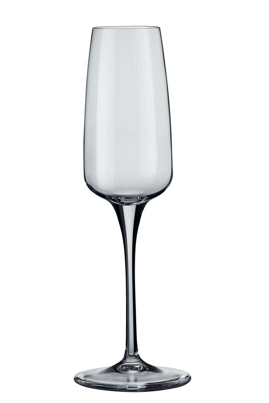 FLUTE CHAMPAGNE AURUM 23CL TRANSPARENT – Verre à pied – HygiRéa