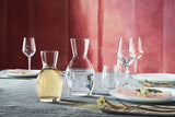 BOUTEILLE YPSILON WINE 1L VERRE TRANSPARENT – Carafe, pichet et bouteille – HygiRéa