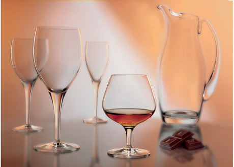 VERRE À PIED VIN MICHELANGELO 19CL – Verre à pied – HygiRéa