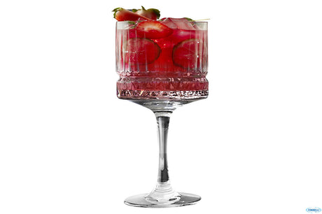 VERRE A PIED COCTAIL ELYSIA 50CL – Verre à pied – HygiRéa