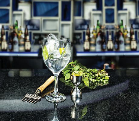 VERRE A PIED 44CL MODA – Verre à pied – HygiRéa
