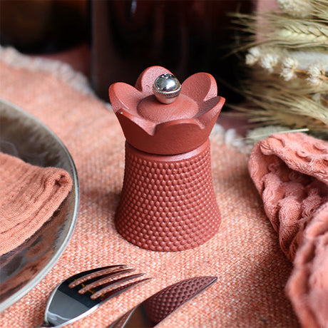 MOULIN À POIVRE / SEL EN FONTE ET ACIER PAPRIKA HT 8CM HAWAI – Moulin et condiment – HygiRéa