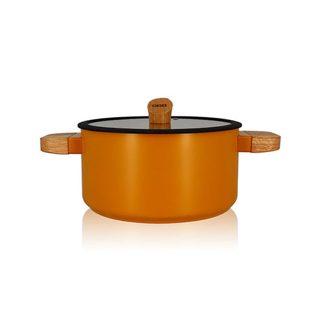 FAITOUT ECTOR 24CM EN ALU REVÊTEMENT CÉRAMIQUE JAUNE AVEC MANCHE BOIS – Faitout, traiteur et marmite – HygiRéa