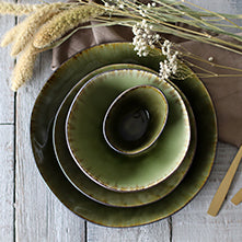 ASSIETTE GOURMET META
24CM 1020ML
EN GRÈS VERT