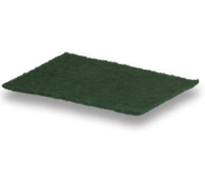 Éponge Tampon Vert – Tampons – HygiRéa