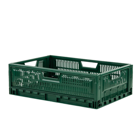 CAISSE PLIABLE 600x400x190 36 L VER – Caisse ajourée – HygiRéa