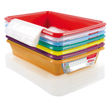 LOT 7 BACS PLATS TEMOINS 3 L + CV – Bac plat – HygiRéa