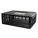 CAGE A POULE 2P 800x600x280 – Cages à poules – HygiRéa