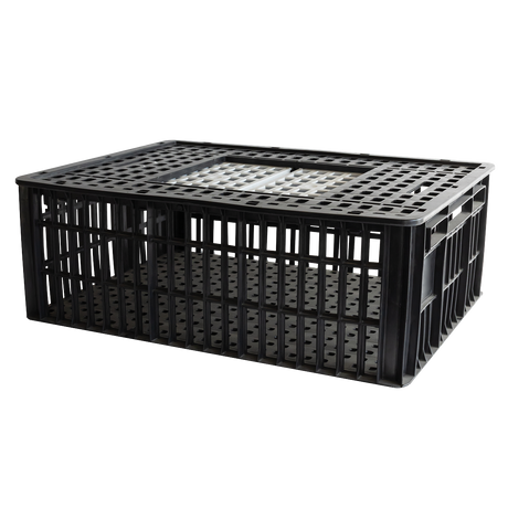 CAGE A POULE 2P 800x600x280 – Cages à poules – HygiRéa