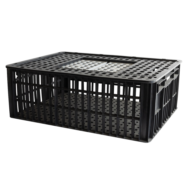 CAGE A POULE 2P 800x600x280 – Cages à poules – HygiRéa