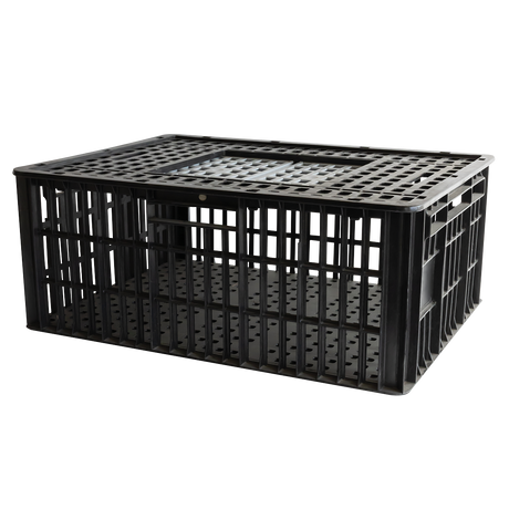 CAGE A POULE 2P 800x600x320 – Cages à poules – HygiRéa