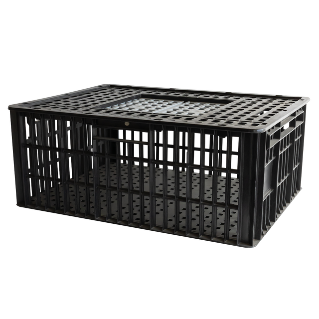 CAGE A POULE 2P 800x600x320 – Cages à poules – HygiRéa