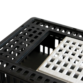 CAGE A POULE 1P 800X500x260 – Cages à poules – HygiRéa