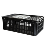 CAGE A POULE 1P 800X500x260 – Cages à poules – HygiRéa
