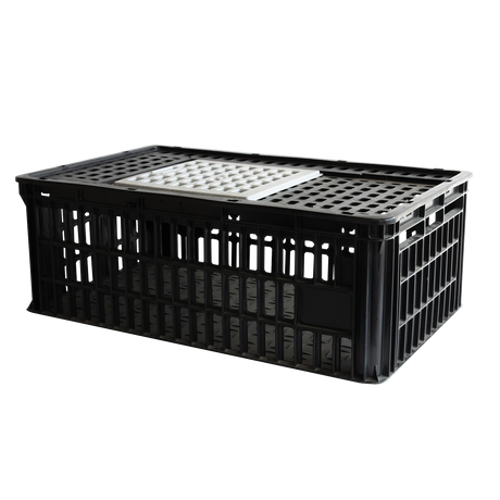 CAGE A POULE 1P 800X500x260 – Cages à poules – HygiRéa