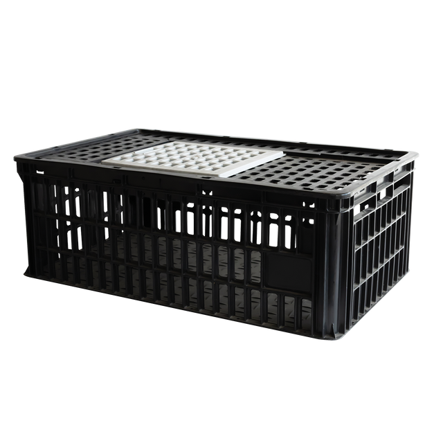CAGE A POULE 1P 800X500x260 – Cages à poules – HygiRéa