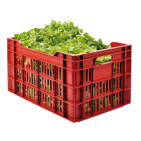 CAISSE AJOUREE 550X360 45 L – Caisse ajourée – HygiRéa