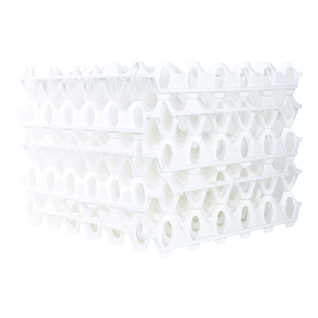 LOT DE 6 ALVEOLES OEUF BLC – Alvéoles à oeufs – HygiRéa