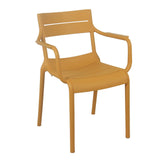 Fauteuil en plastique – Fauteuil d'extérieur et d'intérieur – HygiRéa